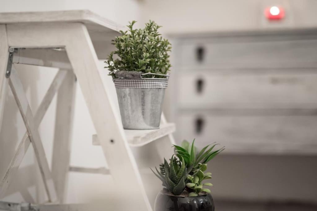 Shabby Apartment @Trastevere روما المظهر الخارجي الصورة
