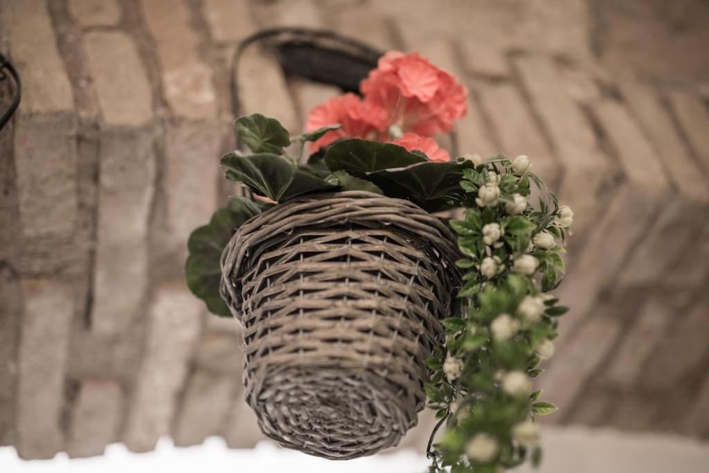 Shabby Apartment @Trastevere روما المظهر الخارجي الصورة